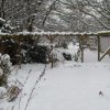 Dezember 2010 - Winterimpressionen
